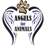 Angels for Animals jpg